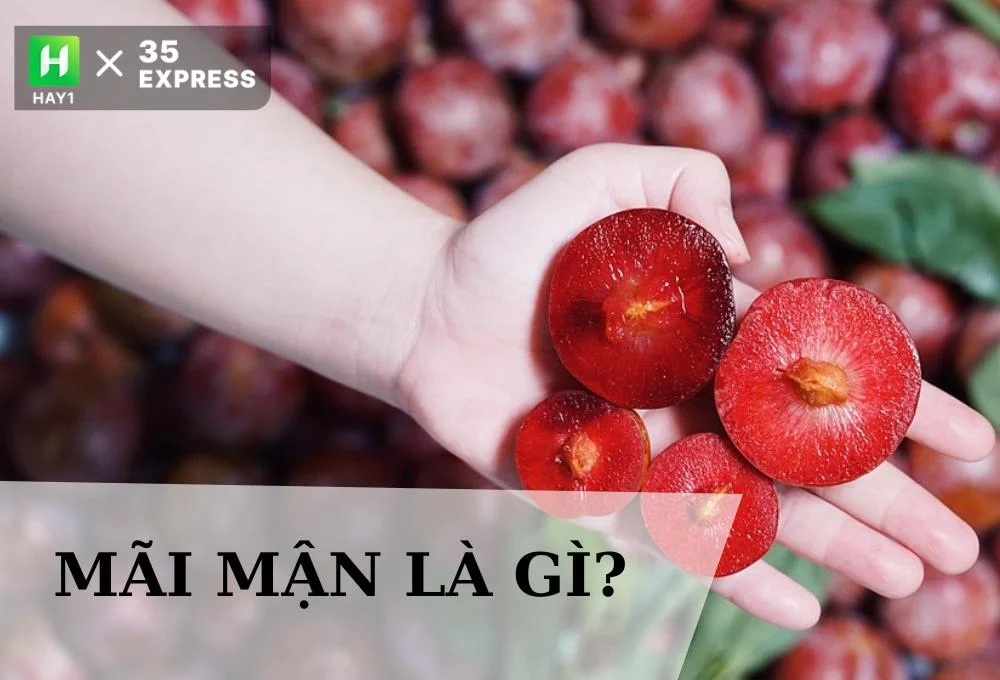 Mãi mận là gì?