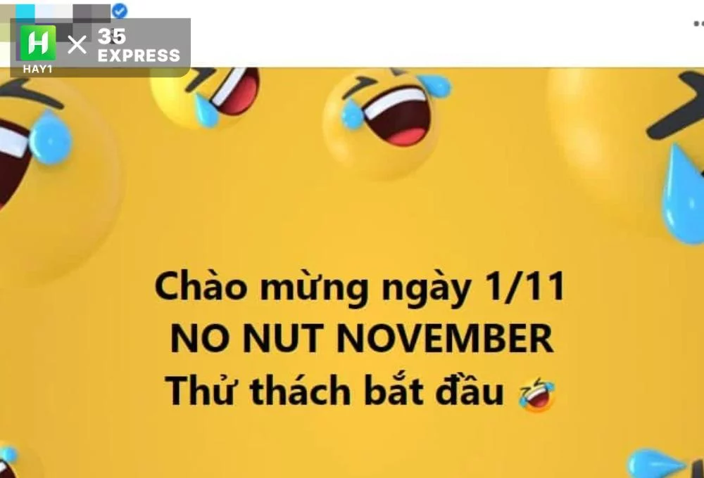 Một số nghĩa khác của NNN