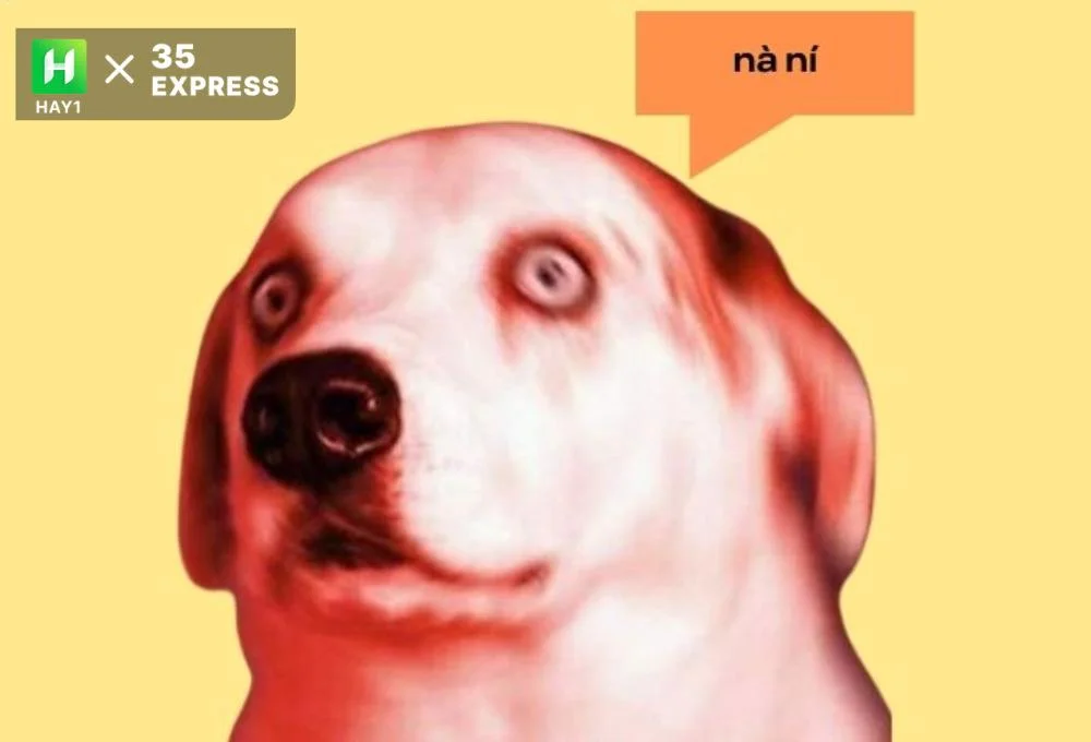 Nguồn gốc của nà ní