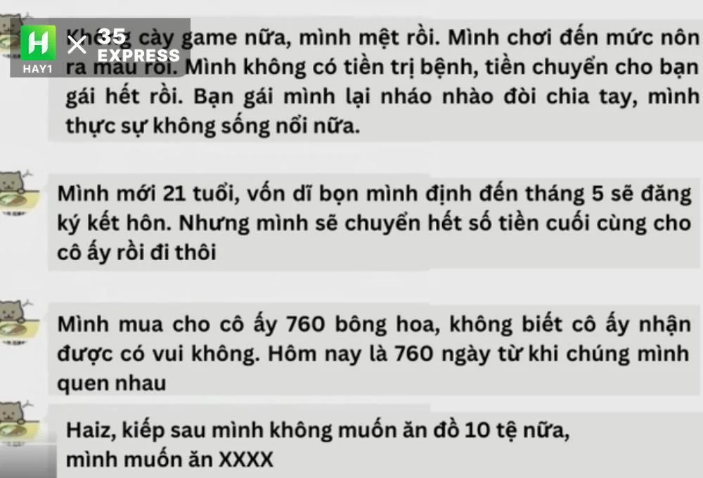 Mèo béo tự tử