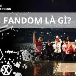 Fandom là gì? Top những fandom nổi tiếng nhất hiện nay