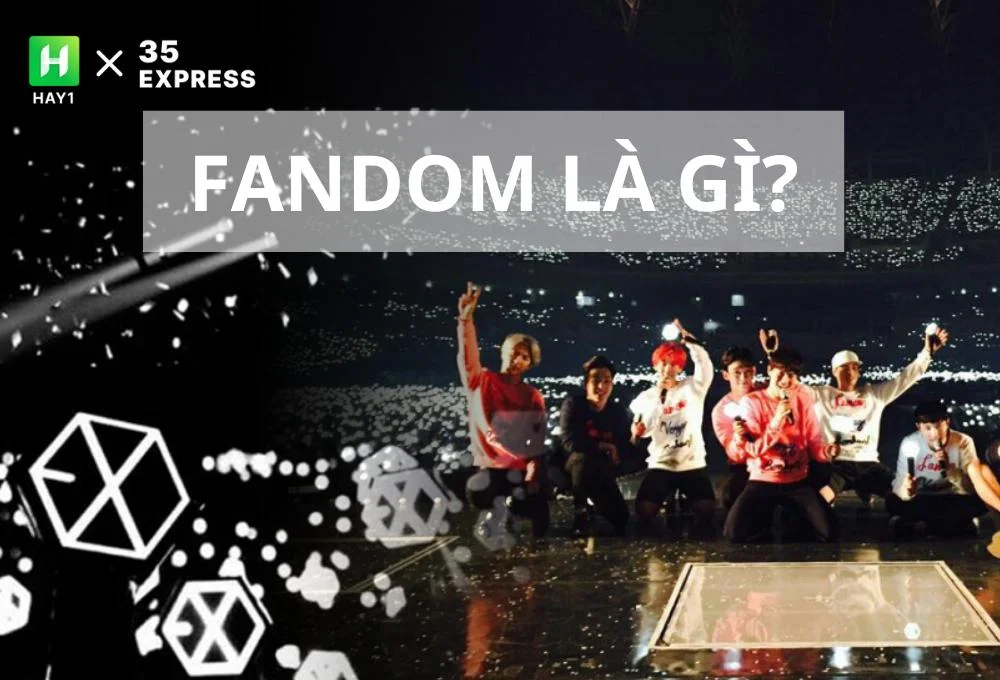 Fandom là gì?