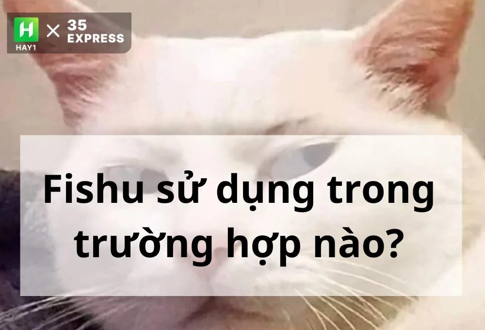 Fishu sử dụng trong trường hợp nào?