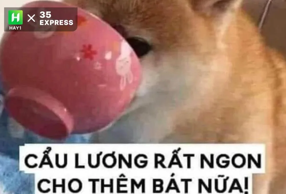 Nguồn ngốc của từ "cơm tró"