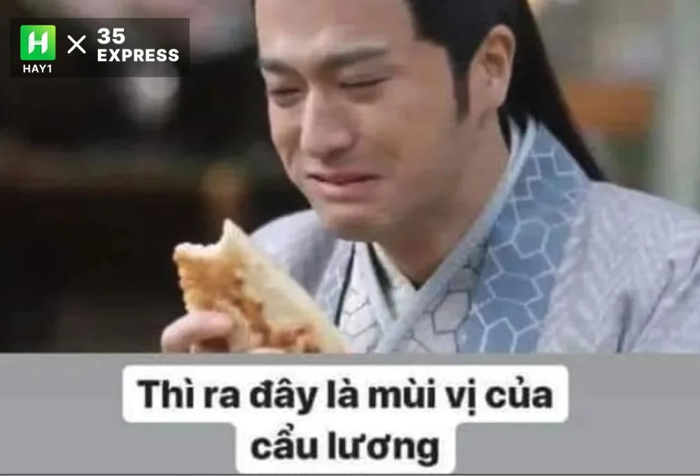 Những trường hợp sử dụng từ "cơm tró"