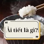 Ải tiết là gì? Từ tiếng Dao được nhiều người hỏi trên TikTok