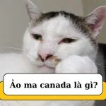 Ảo ma canada là gì? Cách GenZ sử dụng ảo ma canada 
