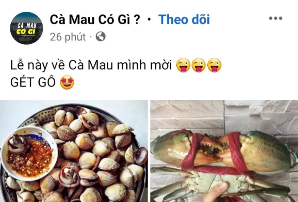 Cư dân mạng sử dụng gét gô thế nào?
