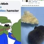 Cư dân mạng cười ngất với câu chuyện hamster đuôi dài