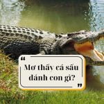 Nằm mơ thấy cá sấu có ý nghĩa gì? Những con số liên quan