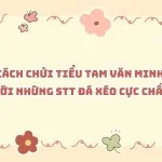 Cách chửi tiểu tam văn minh