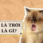 U là trời là gì? Tại sao u là trời lại phổ biến trên Facebook và TikTok