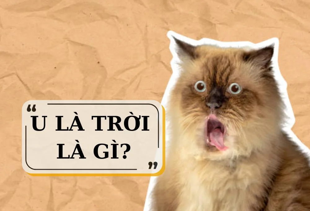 U trời là gì?