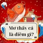 Nằm mơ thấy cá và những con số liên quan