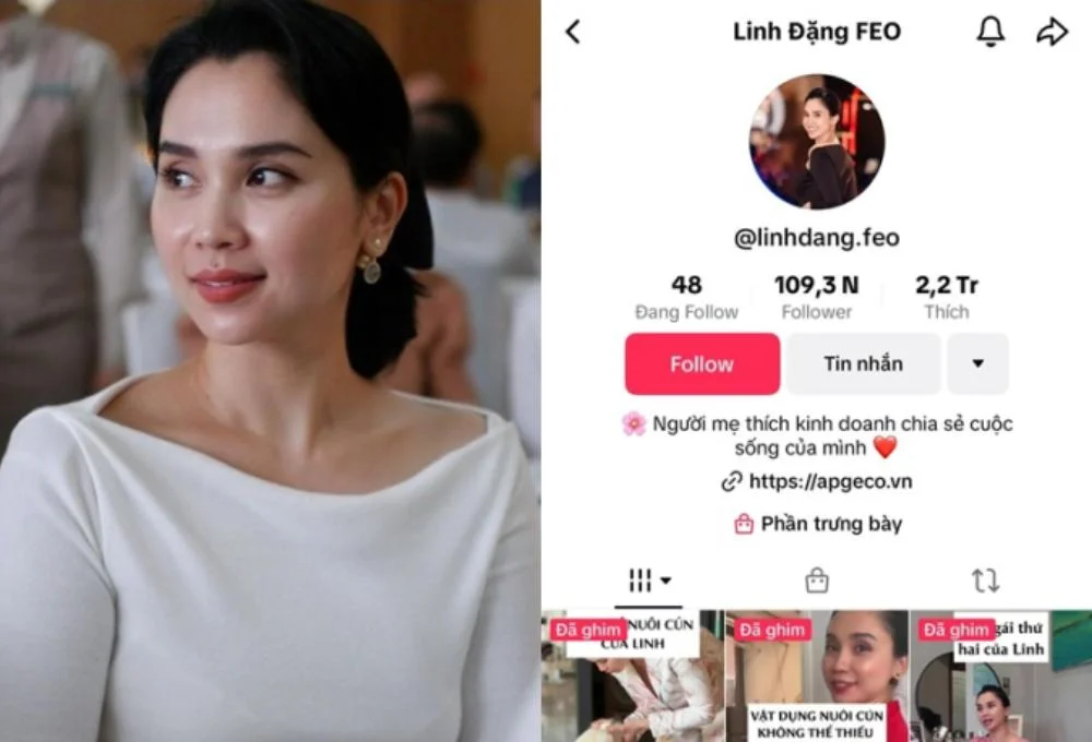 Linh Đặng FEO là ai?