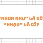 Nhon nhu là gì? Nhạu là gì?