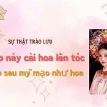 Sự thật trào lưu “Kiếp này cài hoa lên tóc, kiếp sau mỹ mạo như hoa” 