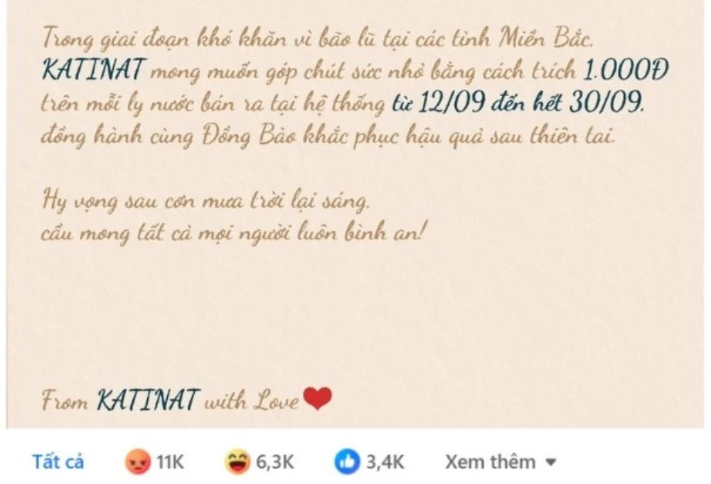 Katinat nhận 'mưa' chỉ trích vì kế hoạch từ thiện ủng hộ miền Bắc
