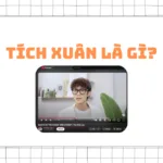 Tích xuân là gì?