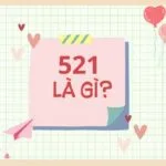 521 là gì? Ý nghĩa đằng sau con số 521