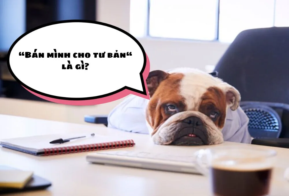bán mình cho tư bản là gì
