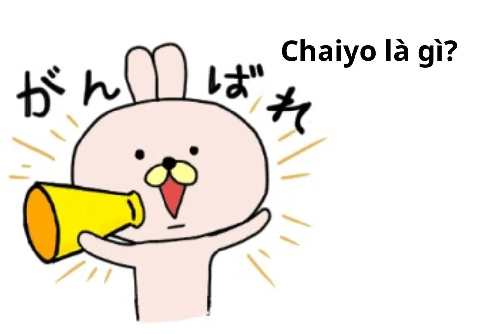 Chaiyo là gì