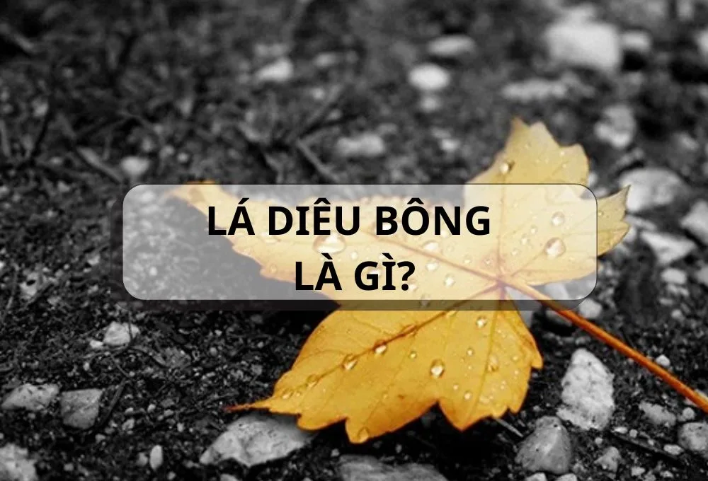 Định nghĩa lá diêu bông