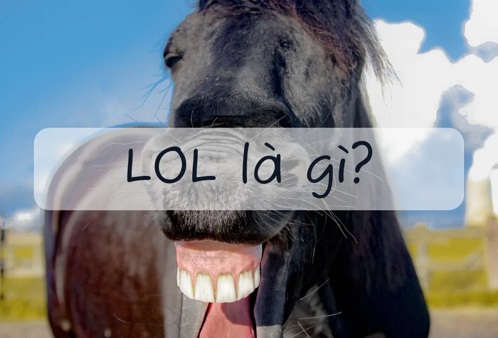 LOL là gì? Có mang ý nghĩa bậy bạ như nhiều người hay nghĩ không?