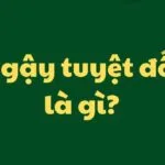 Ngậy tuyệt đối là gì? Cách sử dụng “ngậy tuyệt đối” đúng genZ
