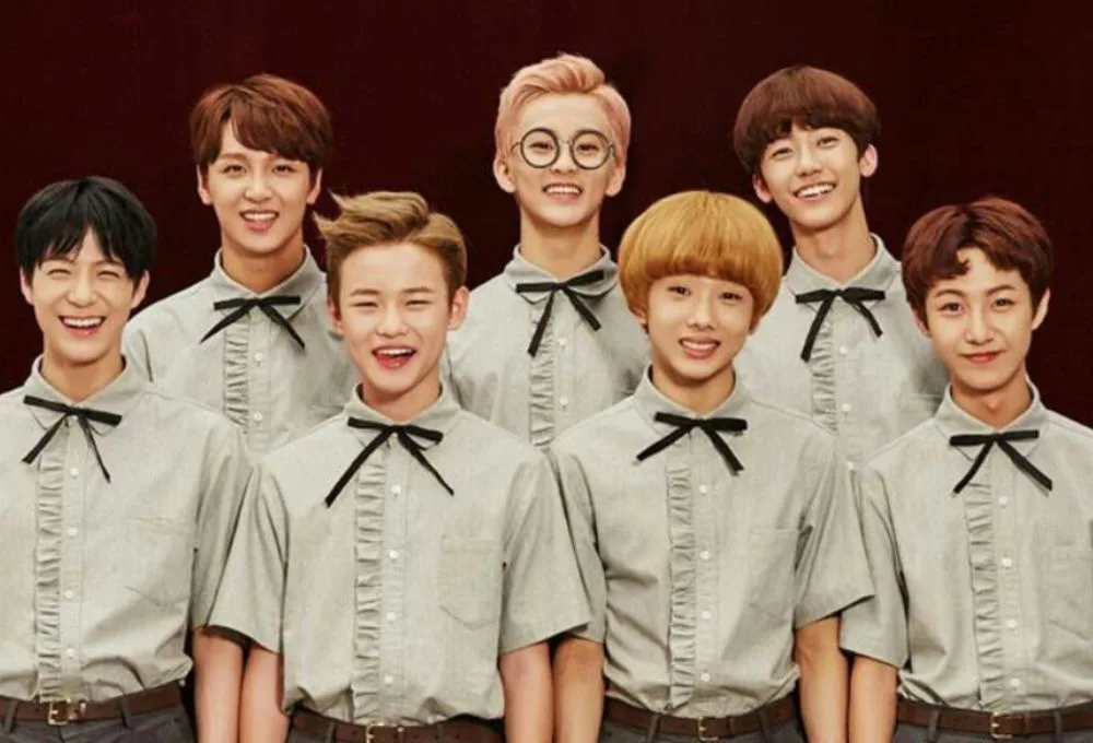 bias nhóm nhạc là gì