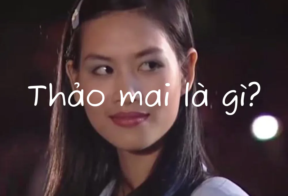 Thảo mai là gì? Hướng dẫn nhận biết người thảo mai