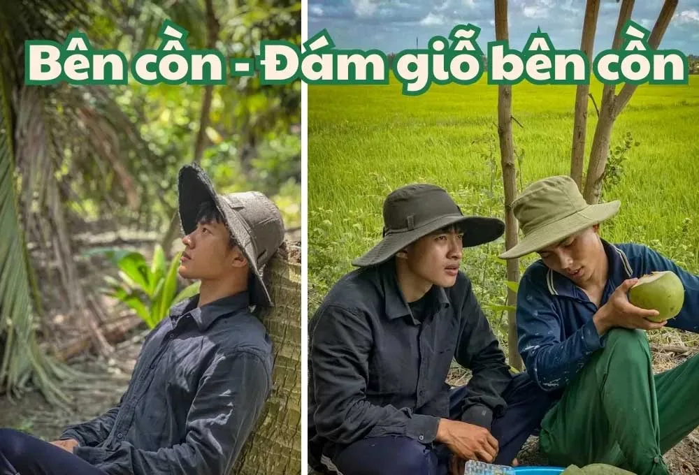Bên cồn là gì?