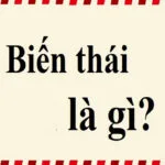 Biến thái là gì? Tìm hiểu rõ về khái niệm, biểu hiện và cách ứng phó