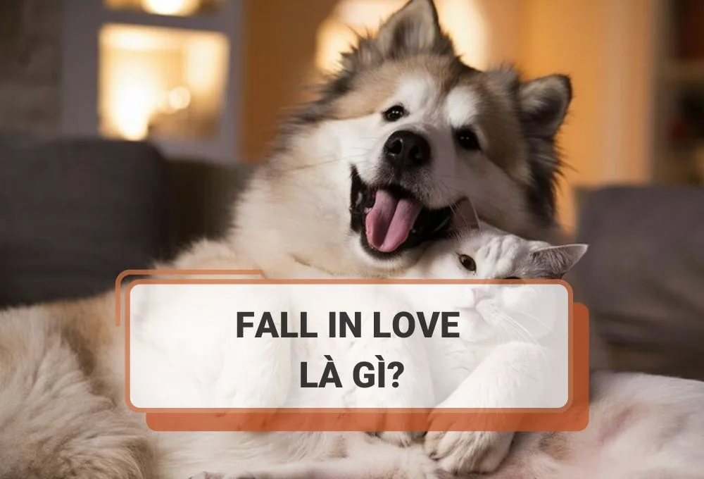 ĐỊNH NGHĨA FALL IN LOVE