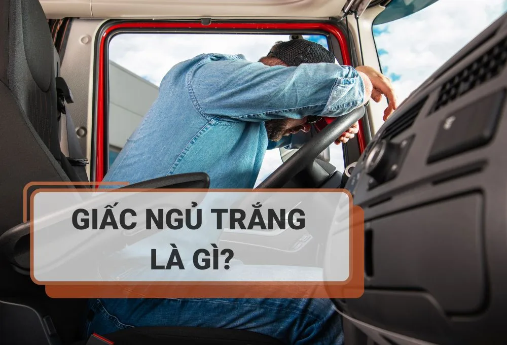 định nghĩa giấc ngủ trắng