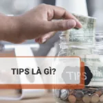 Tips là gì? Giải thích toàn bộ ý nghĩa liên quan đến thuật ngữ Tips