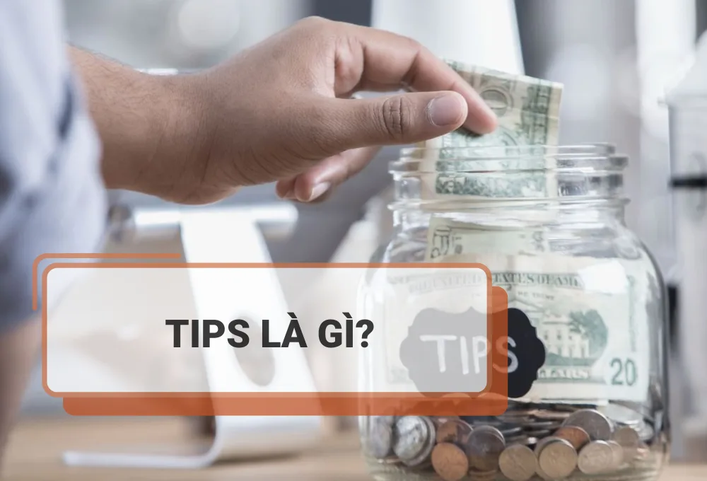 ý nghĩa của tips là gì?