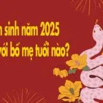 Con sinh năm 2025 hợp với bố mẹ tuổi nào? Tất tần tật về năm Ất Tỵ.