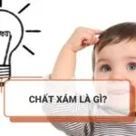 Chất xám là gì? Tầm quan trọng và dấu hiệu tổn thương chất xám là gì?