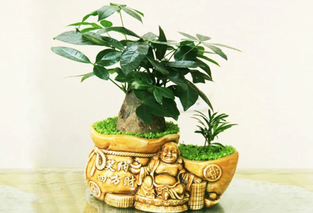 Gợi ý vật phẩm phong thủy tăng vận may cho người tuổi Tý