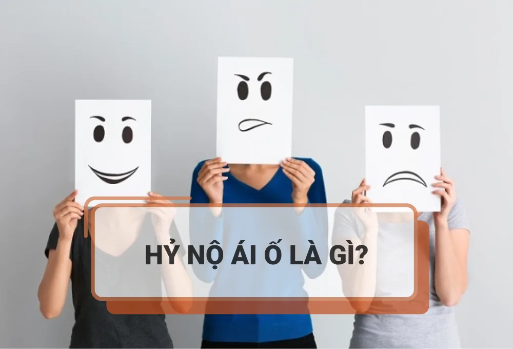 Hỷ nộ ái ố là gì
