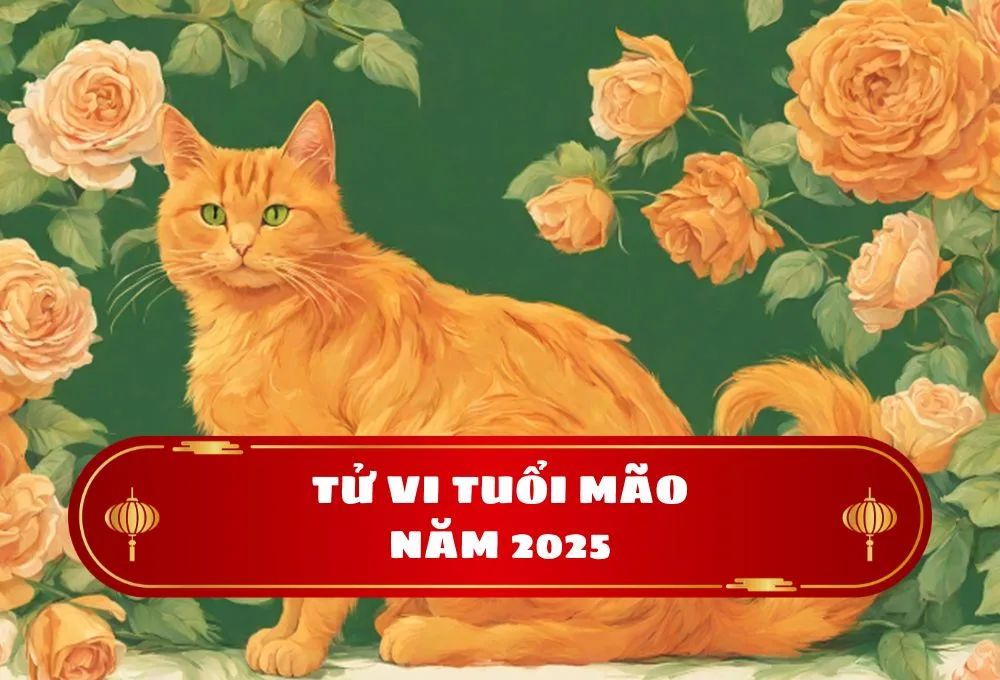 tử vi tuổi mão 2025