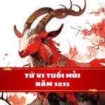 Tử vi tuổi Mùi năm Ất Tỵ 2025: Tam Tai ập đến - Nên ứng phó ra sao?