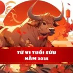 Tử vi tuổi Sửu năm Ất Tỵ 2025: Vận may gõ cửa - Đón chờ thành công