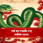 Tử vi tuổi Tỵ năm Ất Tỵ 2025: Vận hạn Thái Tuế, cẩn trọng trong từng bước đi