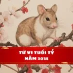 Tử vi tuổi Tý năm Ất Tỵ 2025: Sự nghiệp hứa hẹn khởi sắc