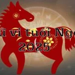 Tử vi tuổi Ngọ năm 2025: Tình duyên đong đầy, sự nghiệp hanh thông