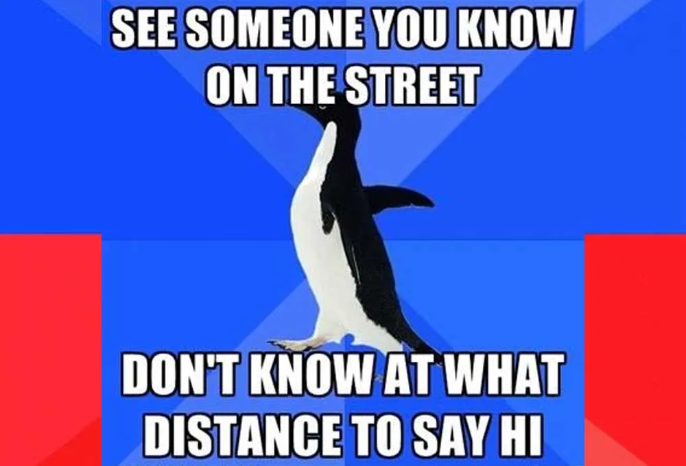 Một số hình meme Penguin