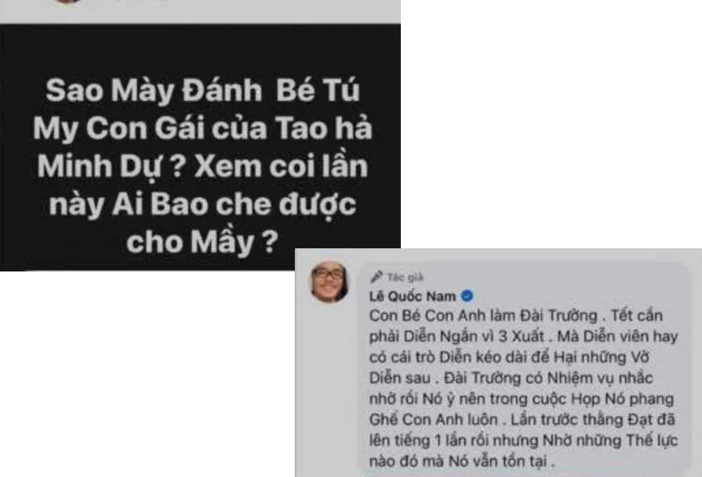 NS-Le-Quoc-Nam-da-len-tieng-ve-viec-Minh-Du-co-hanh-dong-khong-dung-muc