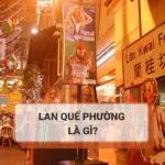 Lan Quế Phường là gì? Những điều ít ai biết về Lan Quế Phường